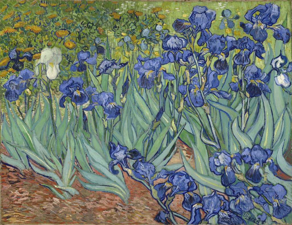 Lirios, Vincent van Gogh, Saint-Rémy, mayo de 1889
