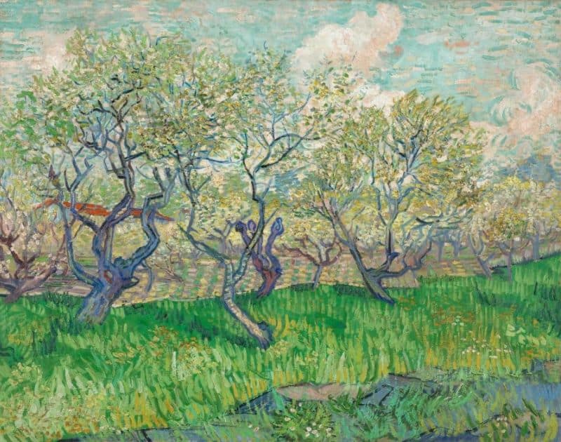 Huerto en flor - Museo Van Gogh