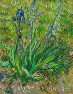 Lirio, de Van Gogh