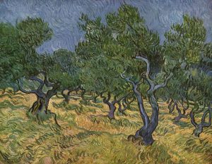 Olivar, de Van Gogh