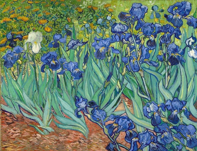 Lirios, Vincent van Gogh (1889)