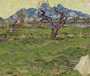 Campos cerca de las Alpilles o Paisaje con olivo y montañas de fondo, de Van Gogh