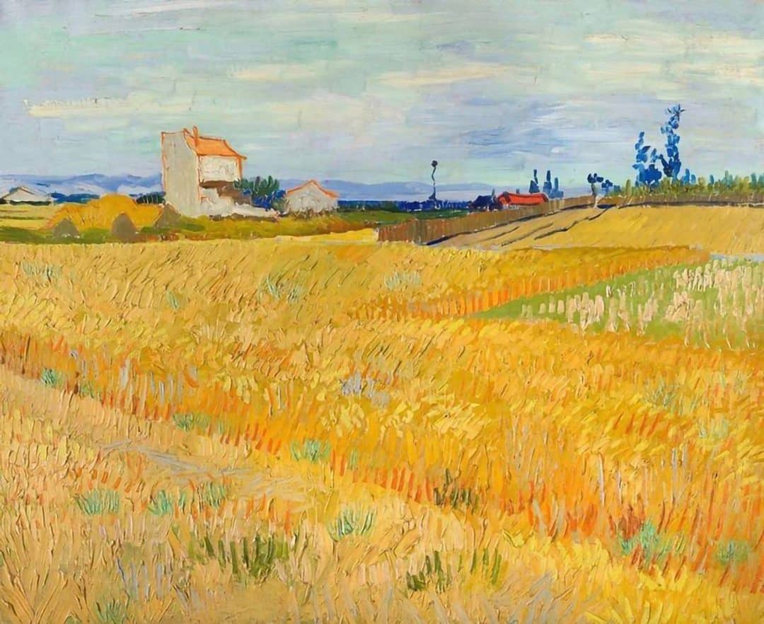 campo de trigo van gogh