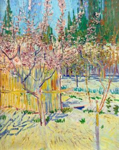 Albaricoqueros en flor, de Van Gogh