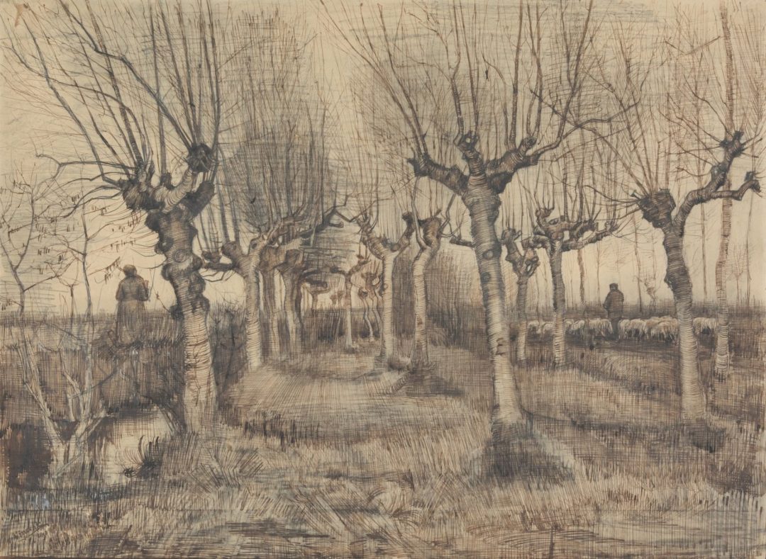 Abedules desmochados, dibujo de Van Gogh, Nuenen, 1884, Museo Van Gogh