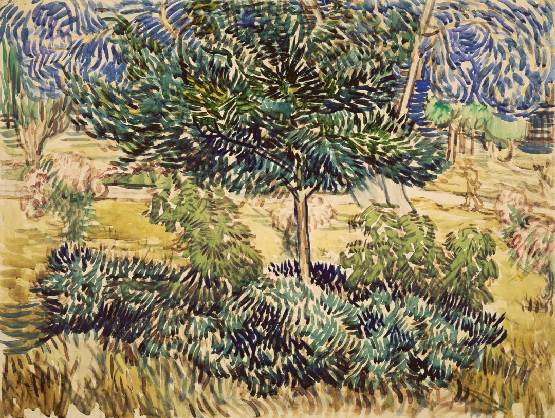 Árbol y arbusto en el jardín del asilo, dibujo de Vincent van Gogh, 1889, Museo Van Gogh