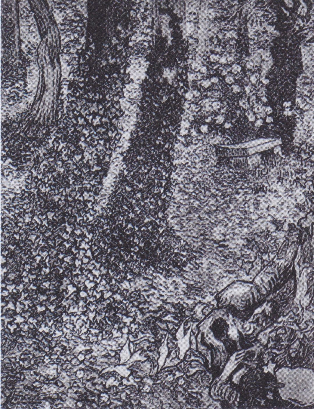 Árboles con hiedra en el jardín del hospital, Van Gogh, 1889