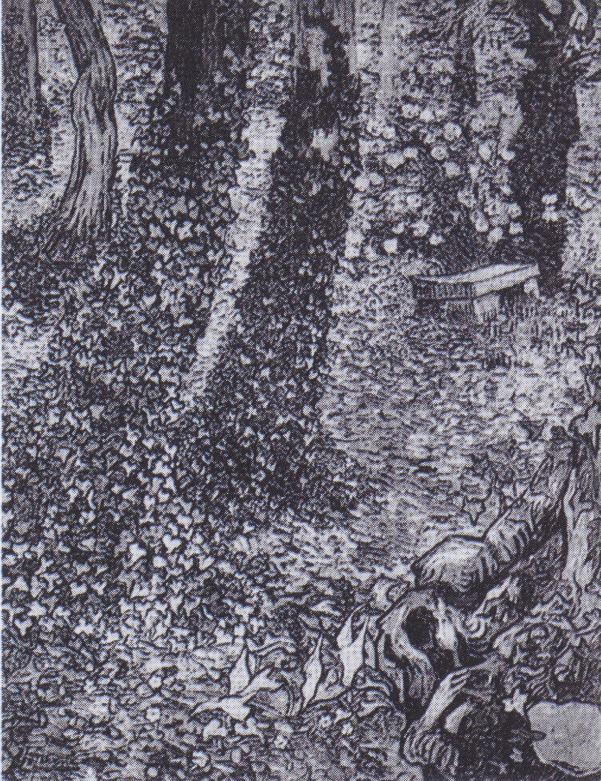 Árboles con hiedra en el jardín del hospital, Van Gogh, 1889