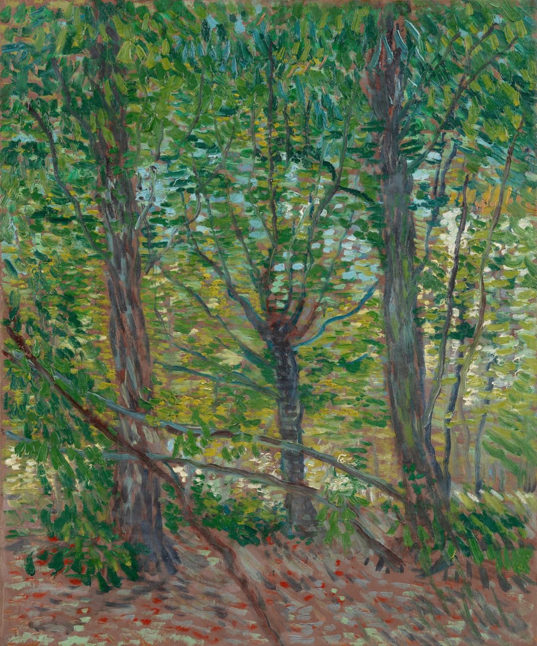 Árboles y maleza (Trees), Van Gogh, París, 1887, Museo Van Gogh