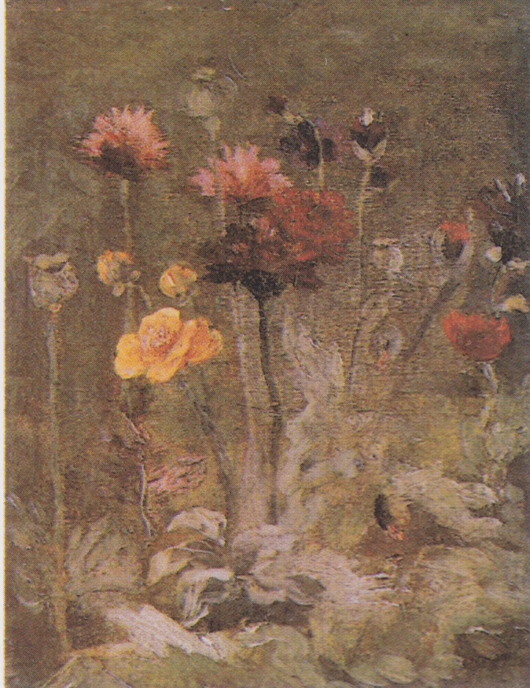 Bodegón con escabiosas y ranúnculos, Van Gogh, 1886