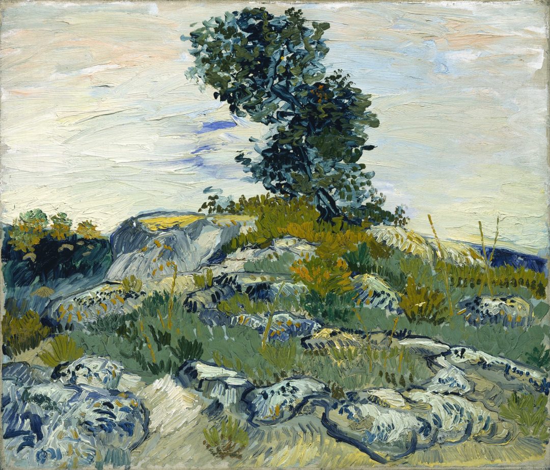Cerro con rocas y roble (The Rocks), Vincent van Gogh, 1888, Museum of Fine Arts, Houston