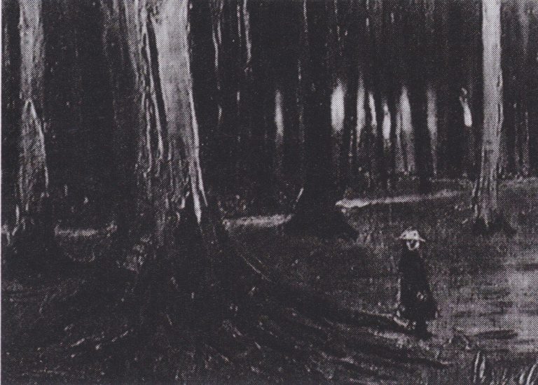 Menina no bosque (1882), Vincent van Gogh