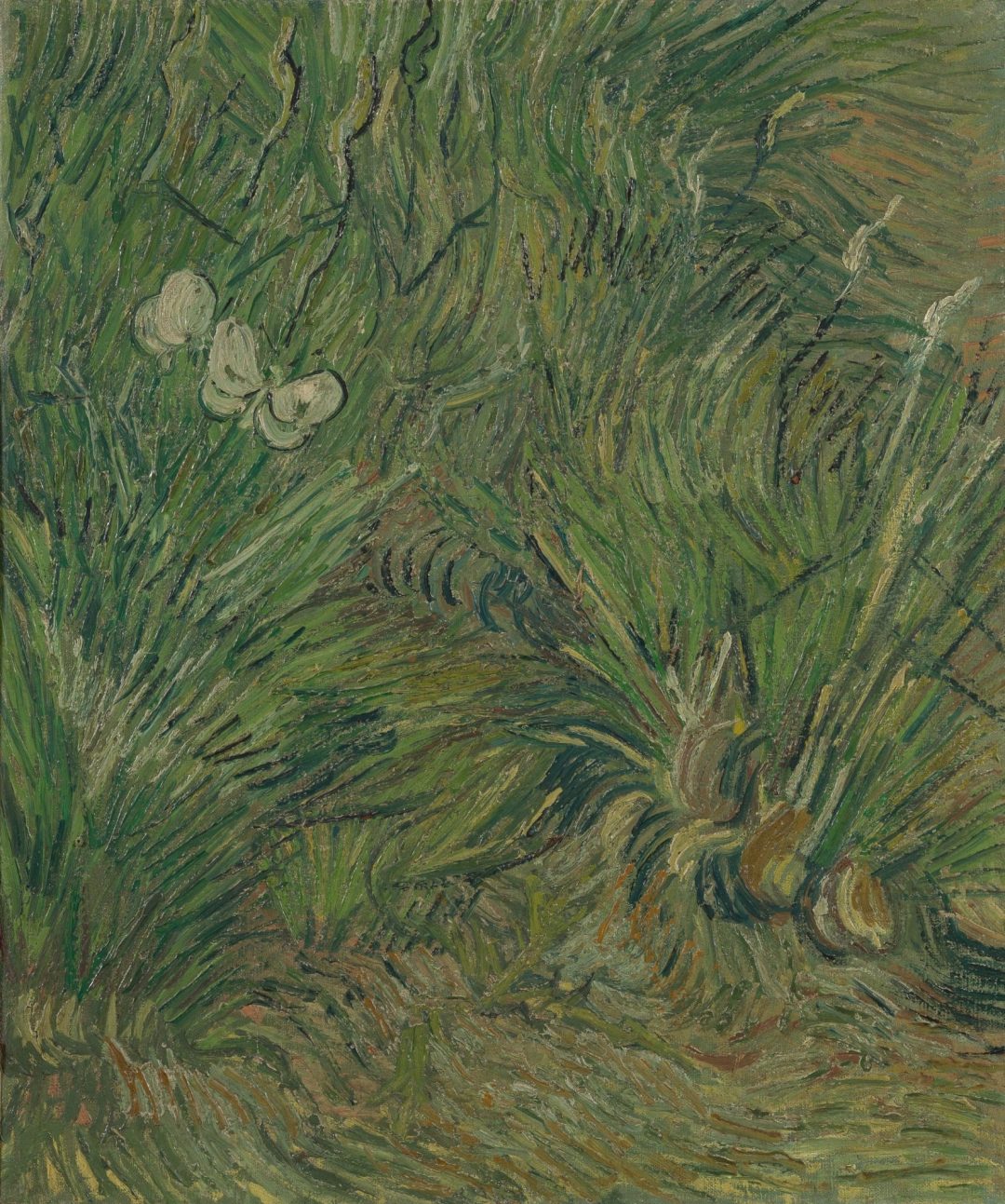 Dos mariposas blancas (Jardín con mariposas), Van Gogh, Museo Van Gogh