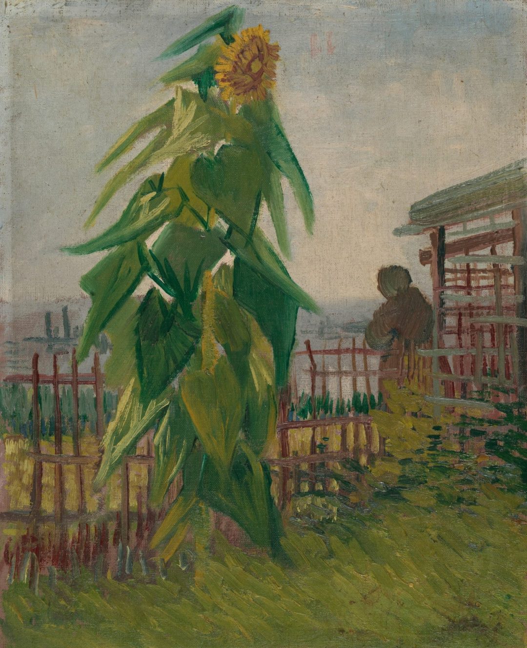 Huerta con girasol, Vincent van Gogh, París 1887, Museo Van Gogh