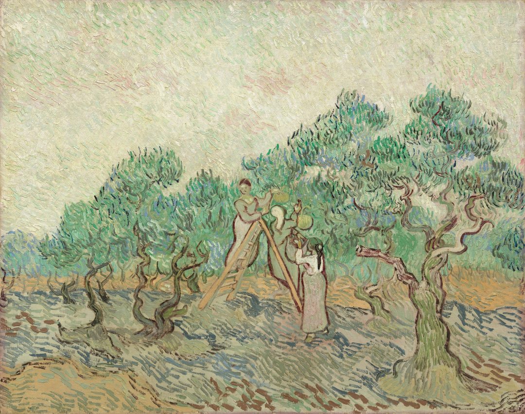 La recolección de la aceituna (El olivar), Vincent van Gogh, 1889, National Gallery of Art