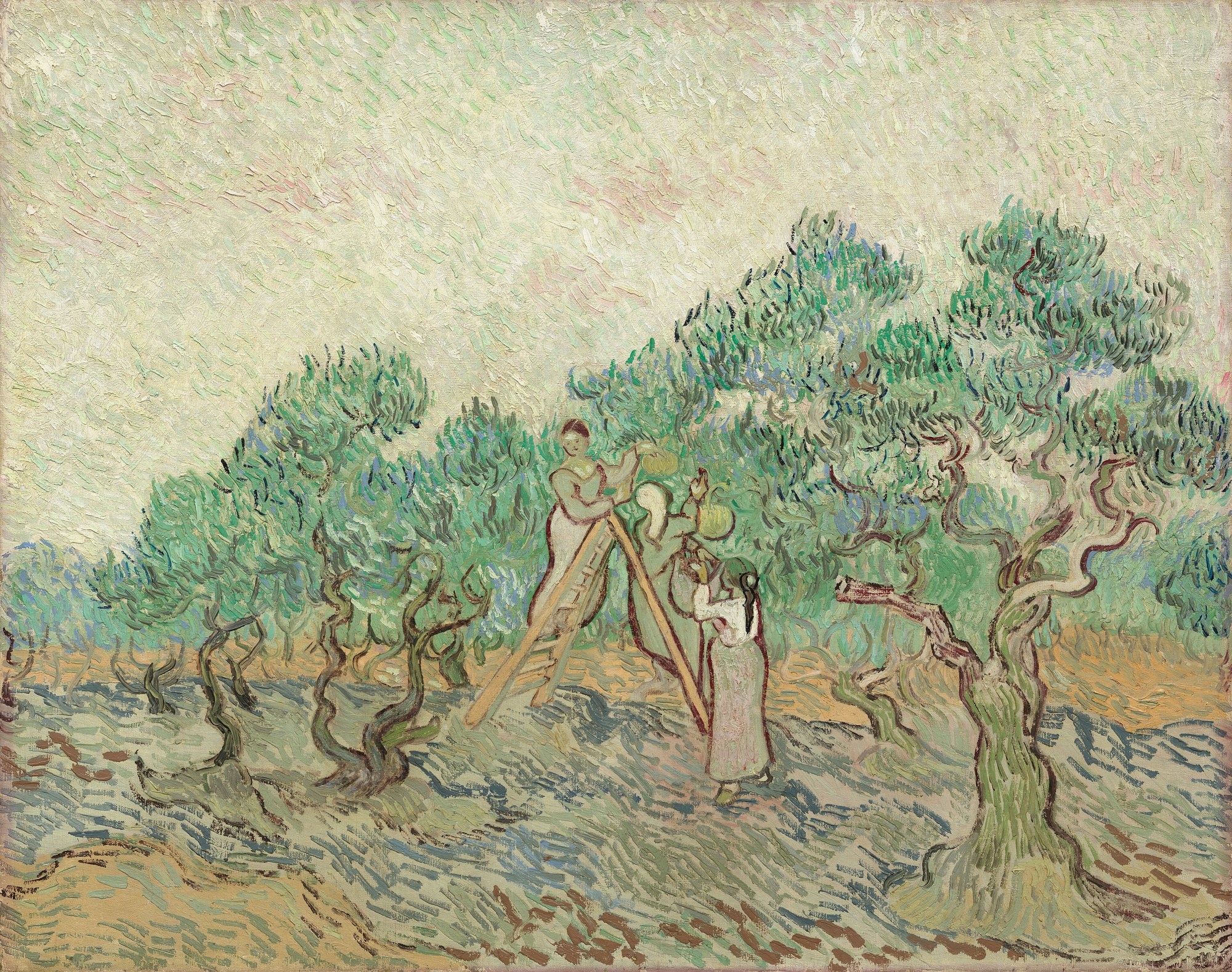 La recolección de la aceituna (El olivar), Vincent van Gogh, 1889, National Gallery of Art