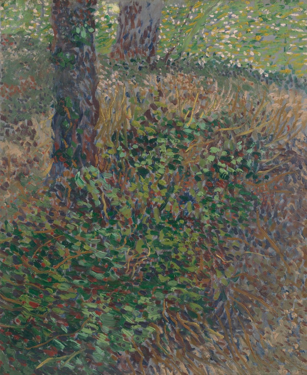 Maleza, Van Gogh, 1887, Museo Van Gogh