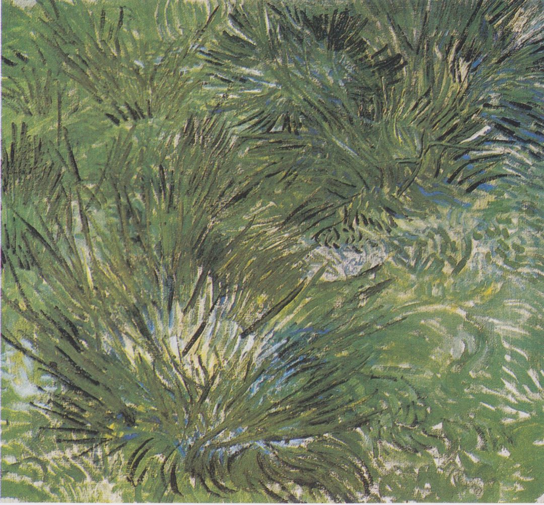 Manojo de hierba (Clumps of Grass), Van Gogh, 1889, Museo de Arte Pola