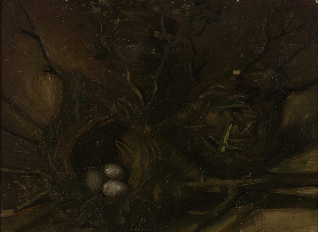 Nidos de pájaro, Van Gogh, 1885
