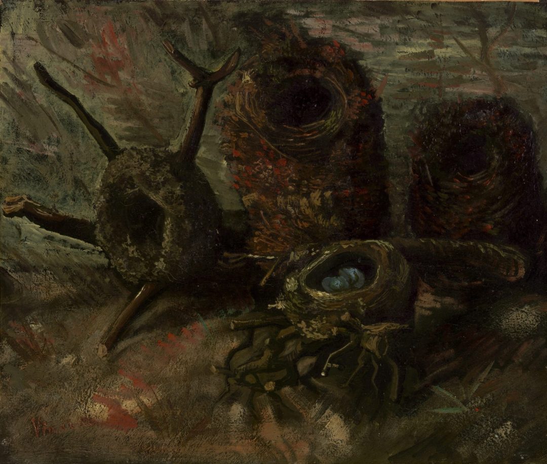 Nidos de pájaro, Van Gogh, 1885, Museo Van Gogh