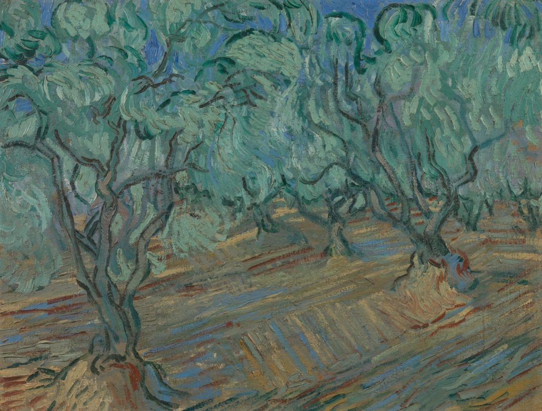 Olivar, Van Gogh, Saint-Rémy, 1889, Museo Van Gogh