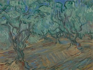Olivar, de Van Gogh