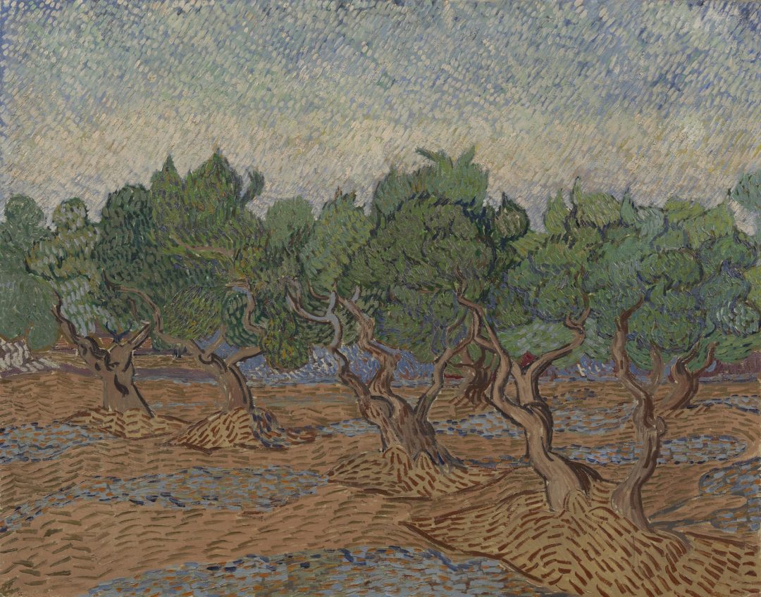 Olivar, Vincent van Gogh, Saint-Rémy 1889, Museo Van Gogh