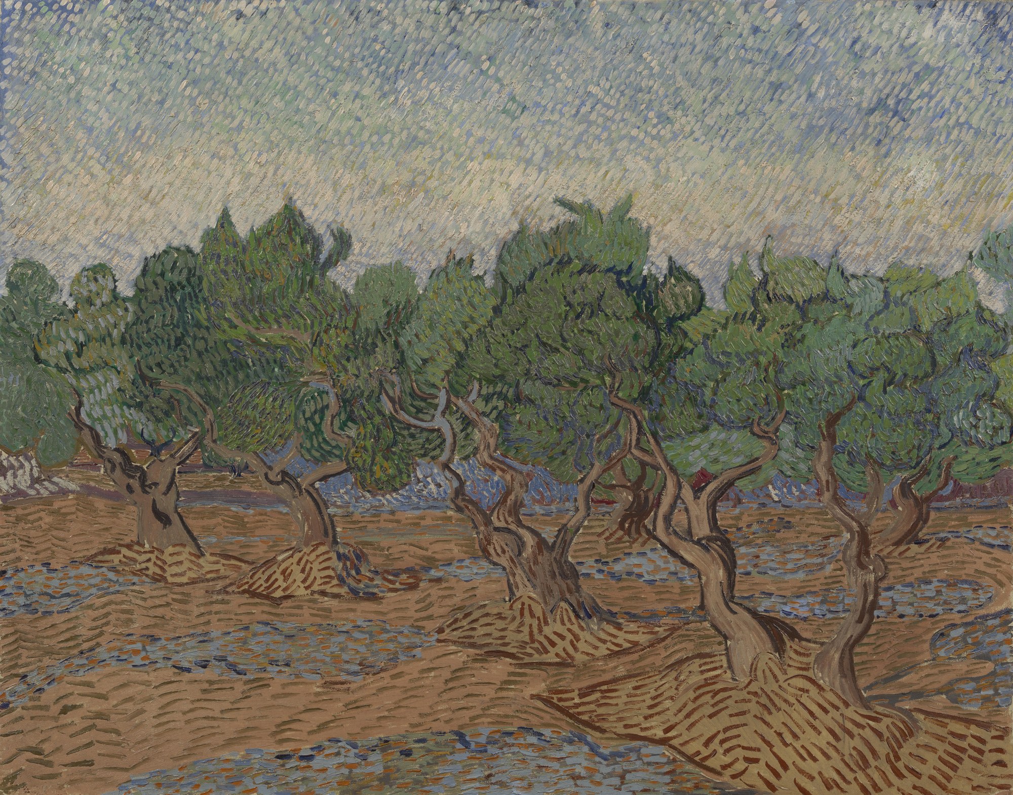 Olivar, Vincent van Gogh, Saint-Rémy 1889, Museo Van Gogh