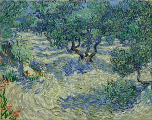 Olivos, de Van Gogh