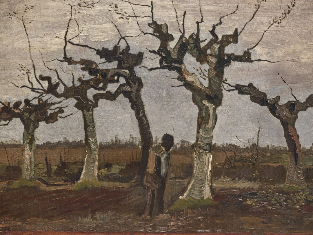 Paisaje con sauces desmochados, Van Gogh, 1884