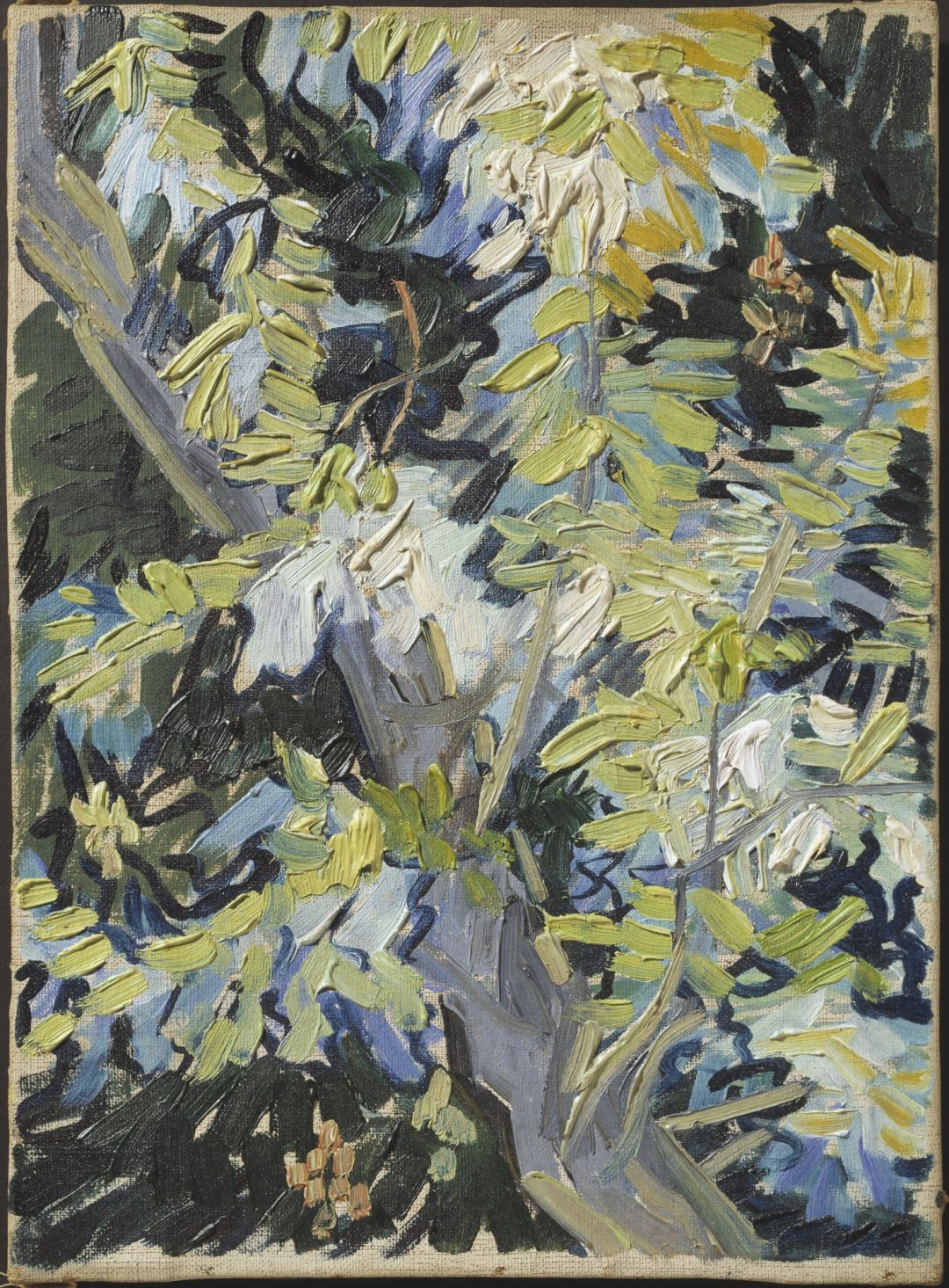 Rama de acacia en flor, Van Gogh, 1890, Nationalmuseum