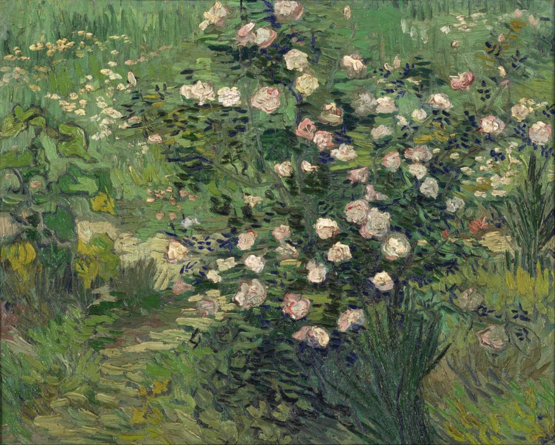 Rosal en flor, Vincent van Gogh, 1889, Museo Nacional de Arte Occidental de Tokio