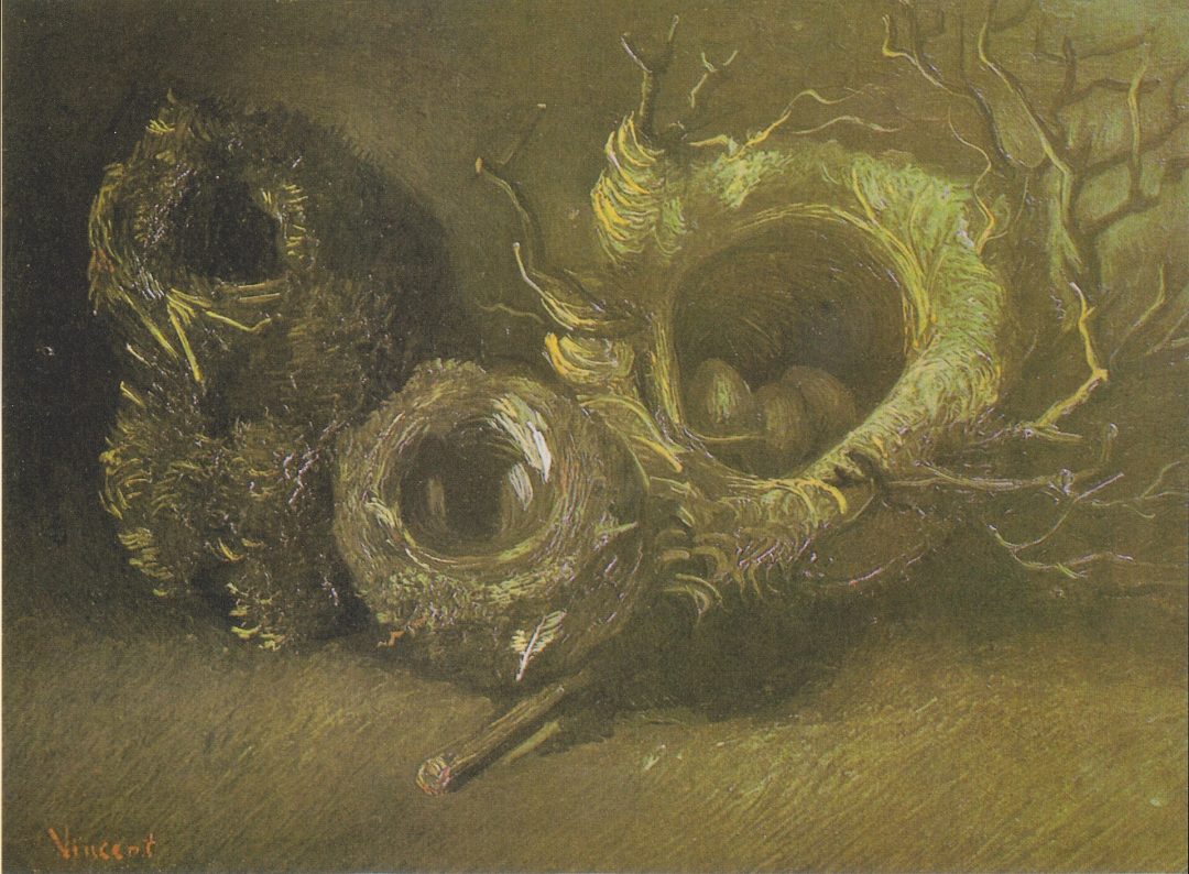 Tres nidos de pájaro, Van Gogh, 1885, Kröller-Müller
