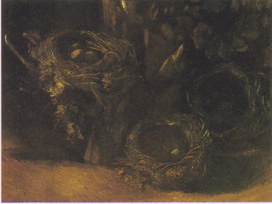 Tres nidos de pájaro, Van Gogh, 1885, Kunstmuseum Den Haag