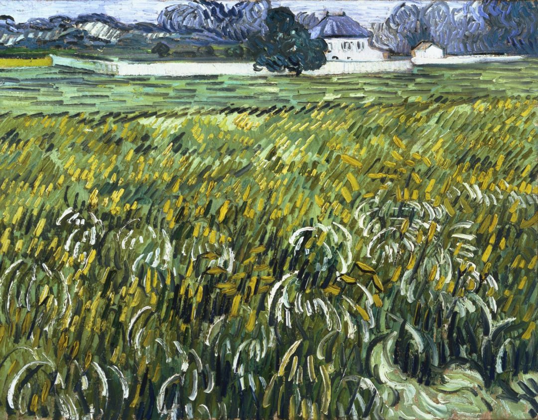Trigal en Auvers con casa blanca, Van Gogh, 1890, Phillips Collection