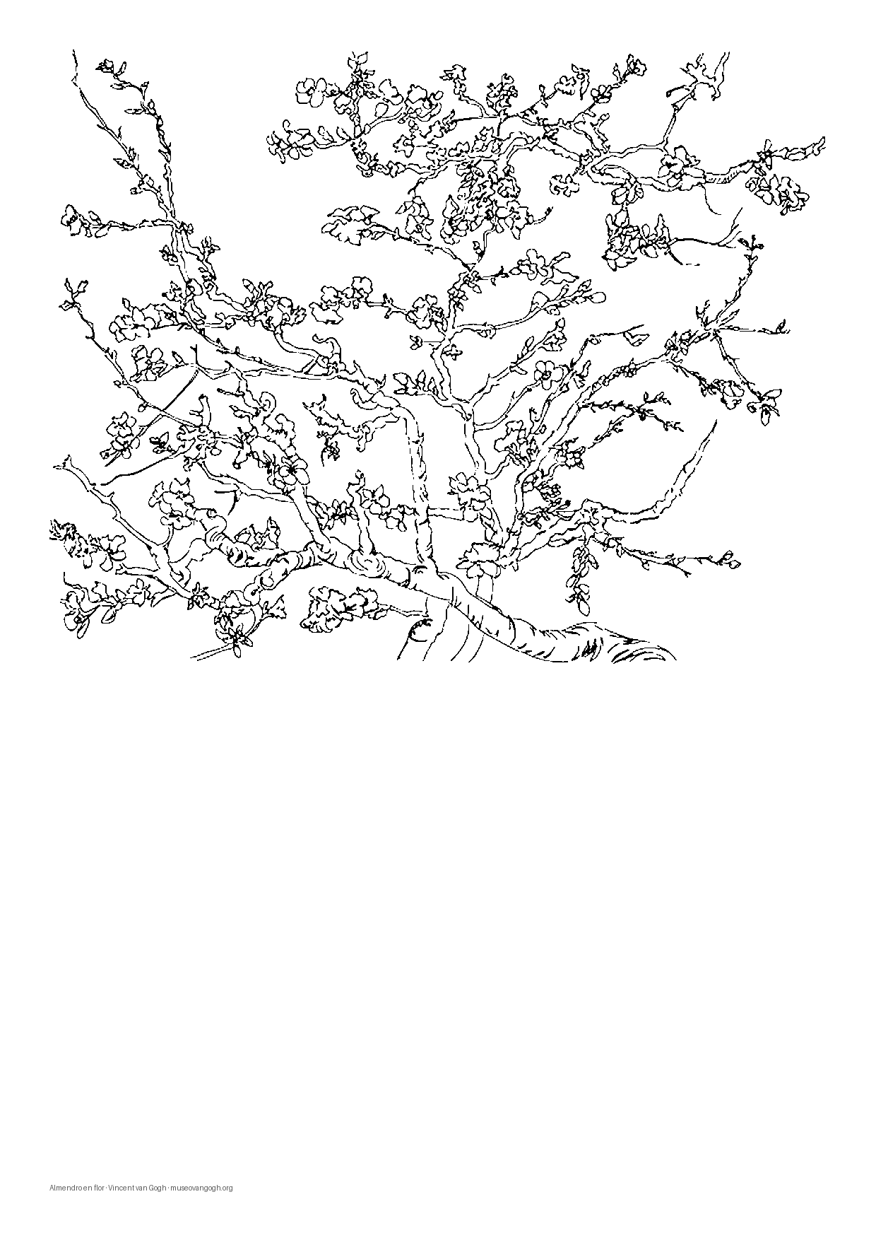 Ramos de Amendoeira em Flor de Van Gogh para colorir