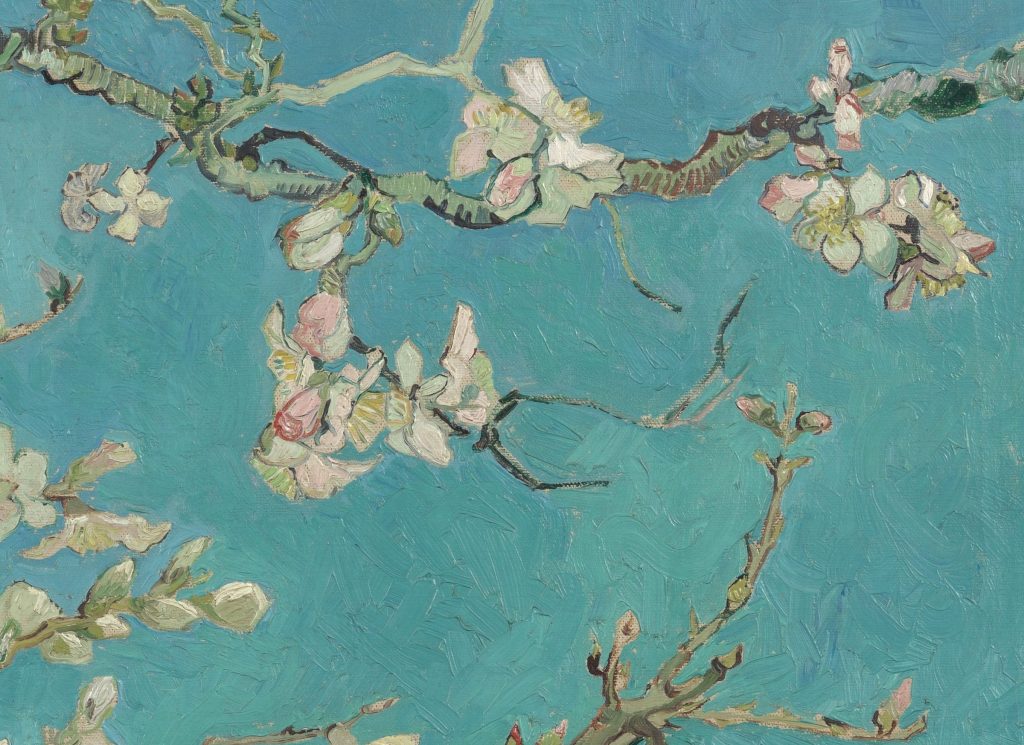 Detalle de Almendro en flor de Van Gogh: flores blancas y capullos rosados con contornos oscuros sobre el cielo azul turquesa