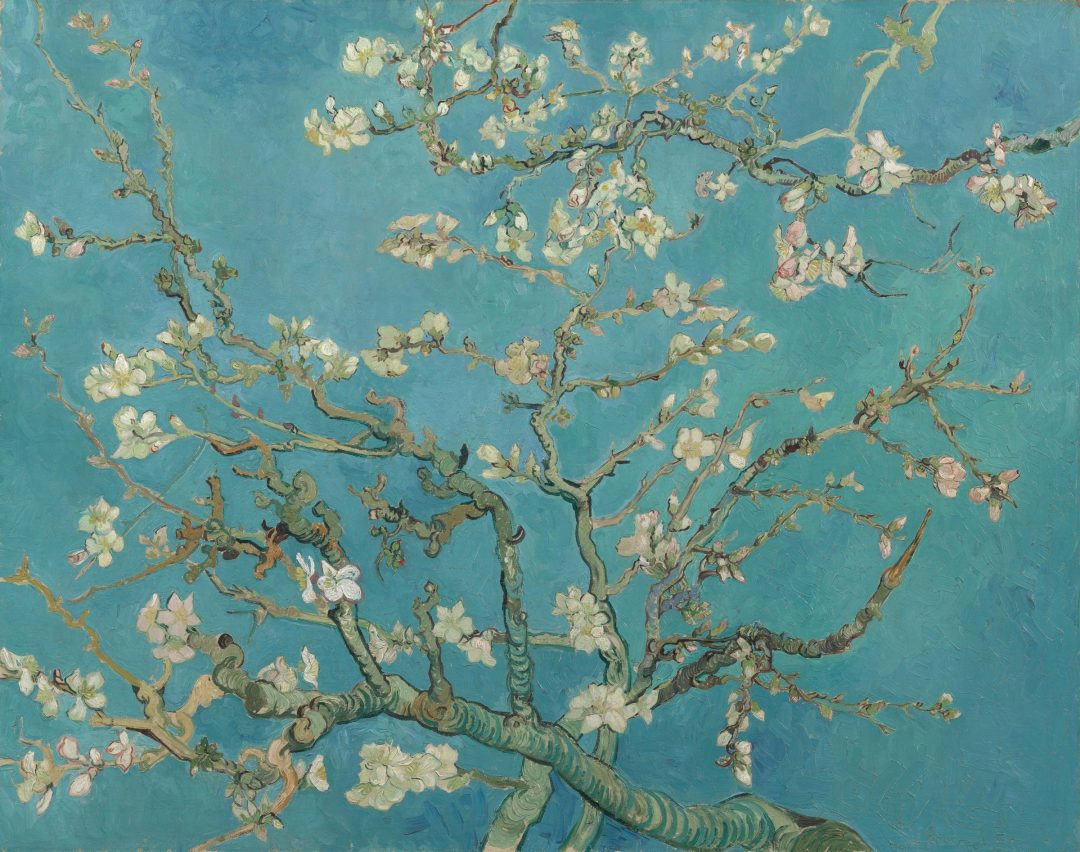 Almendro en flor, de Vincent van Gogh
