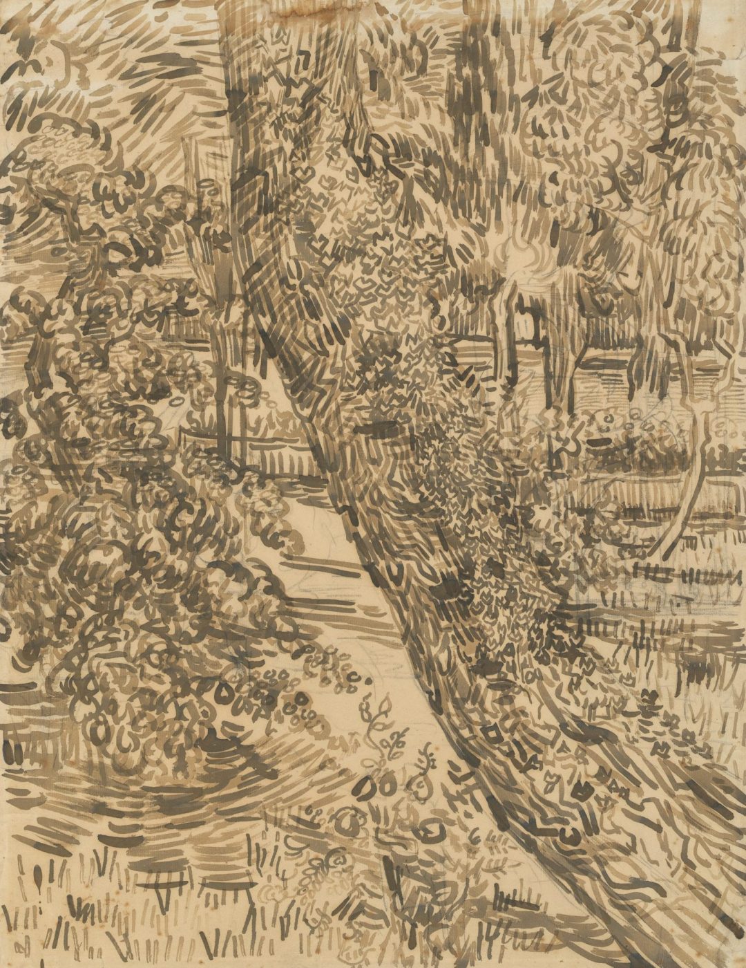 Árbol con hiedra en el jardín del asilo (1889), de Vincent van Gogh