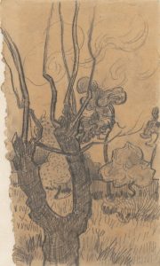 Copa de un árbol sin hojas en el jardín del asilo, de Van Gogh