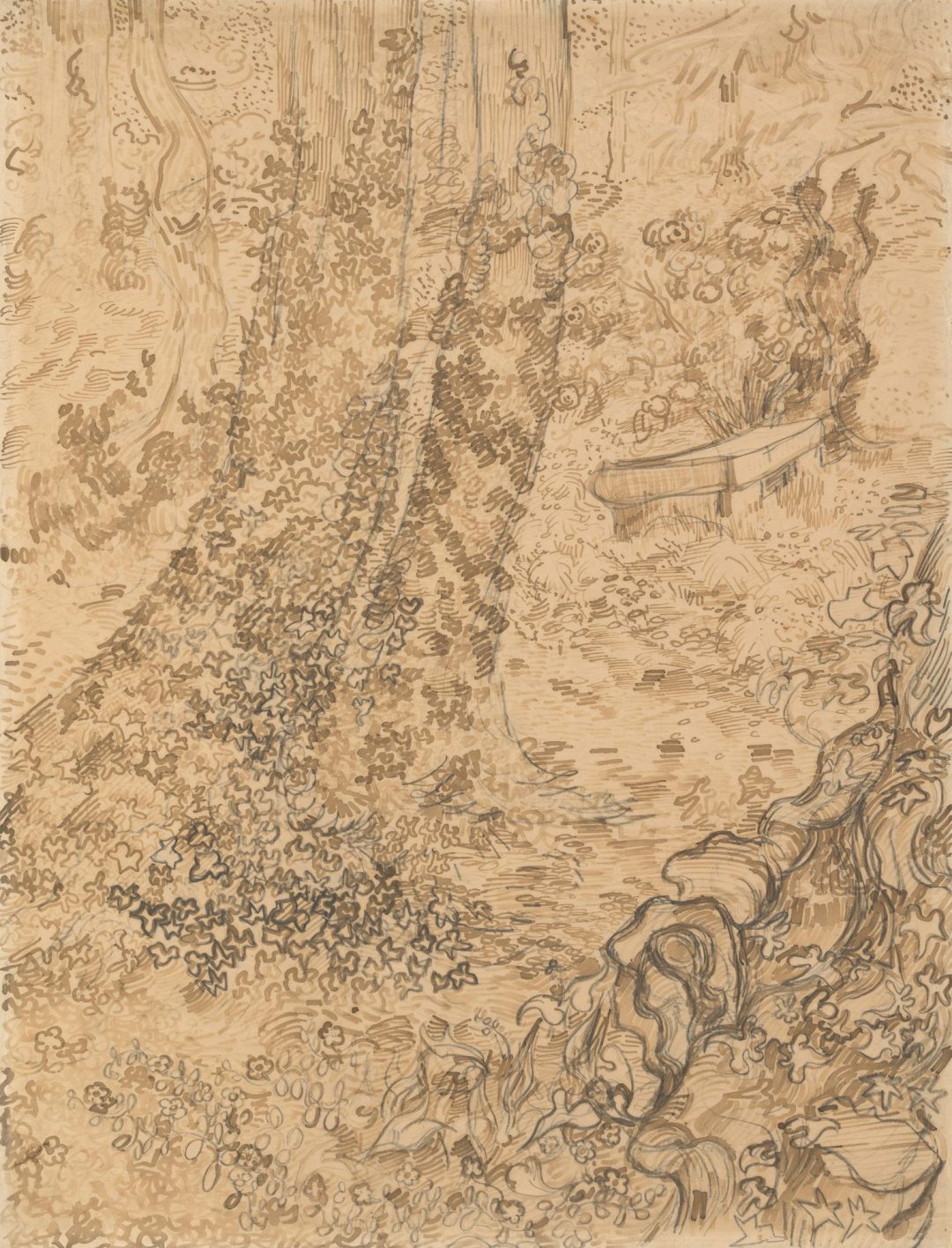 Árboles con hiedra en el jardín del asilo (dibujo, 1889), de Vincent van Gogh
