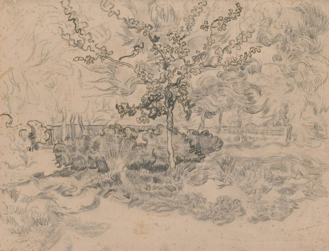 Árboles en el jardín del asilo (dibujo, Saint-Rémy, 1889), de Vincent van Gogh