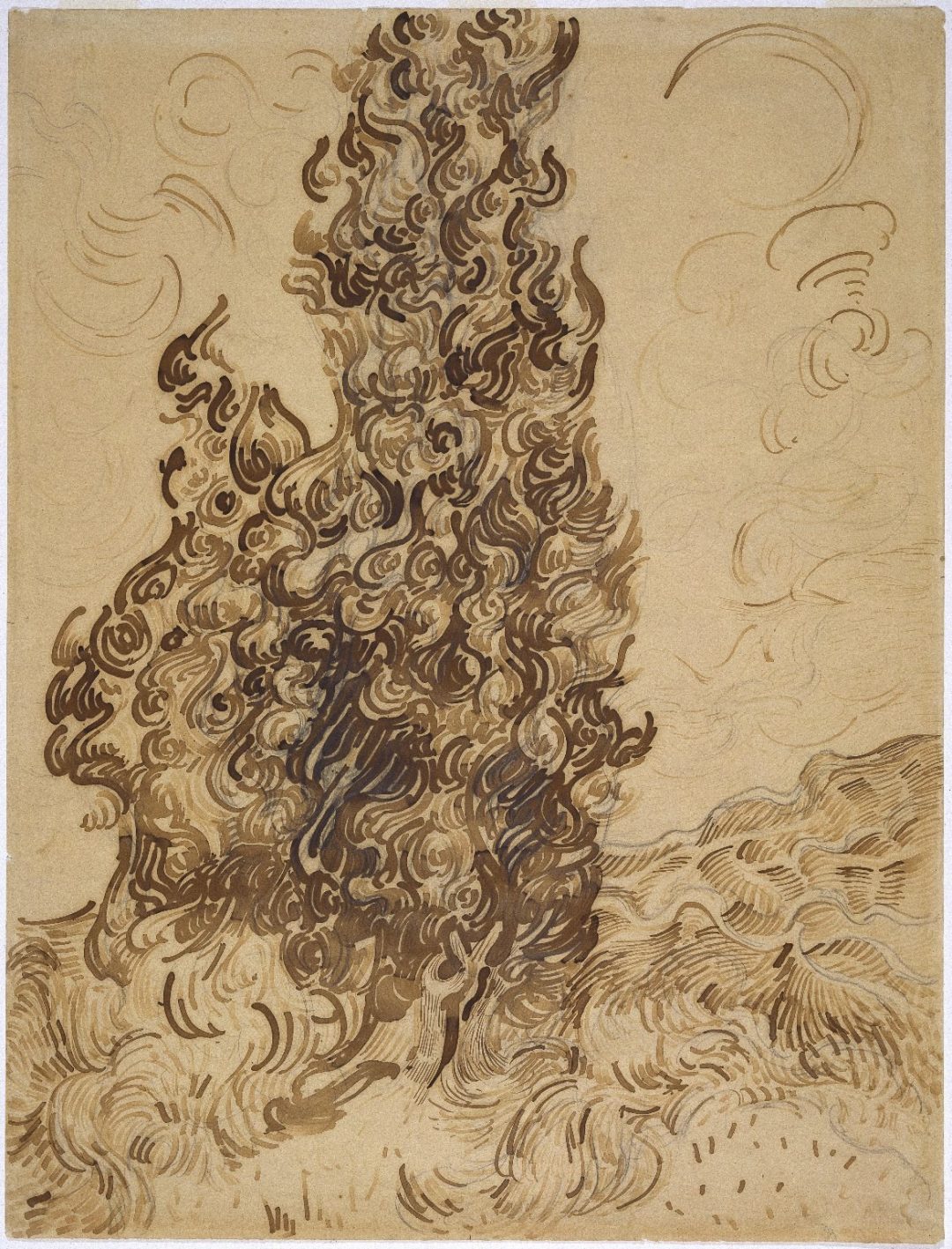 Cipreses, dibujo del Museo de Brooklyn (1889), de Vincent van Gogh