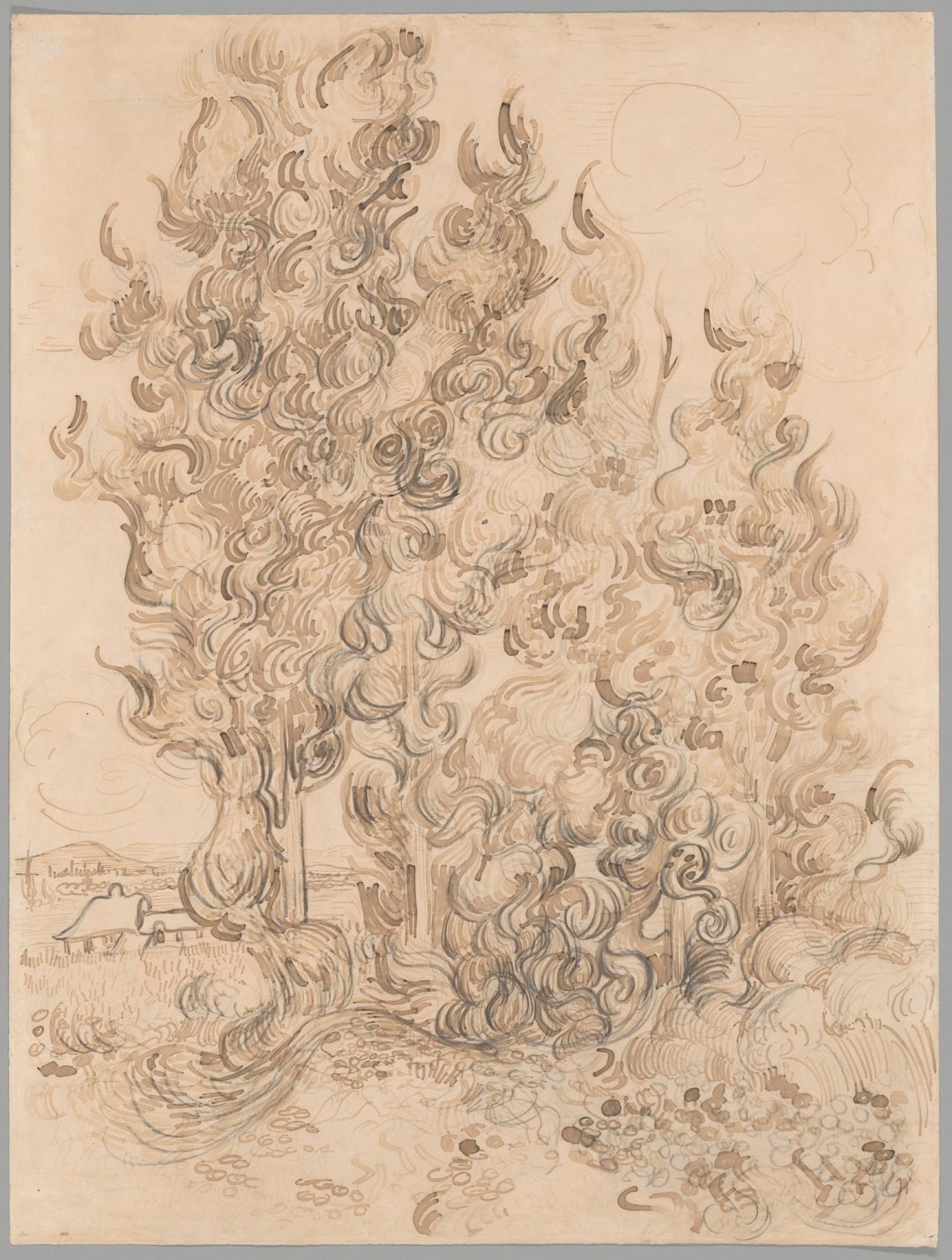 Cipreses (dibujo, Saint-Rémy, 1889), de Vincent van Gogh