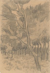 Pinos en el jardín del asilo, de Van Gogh