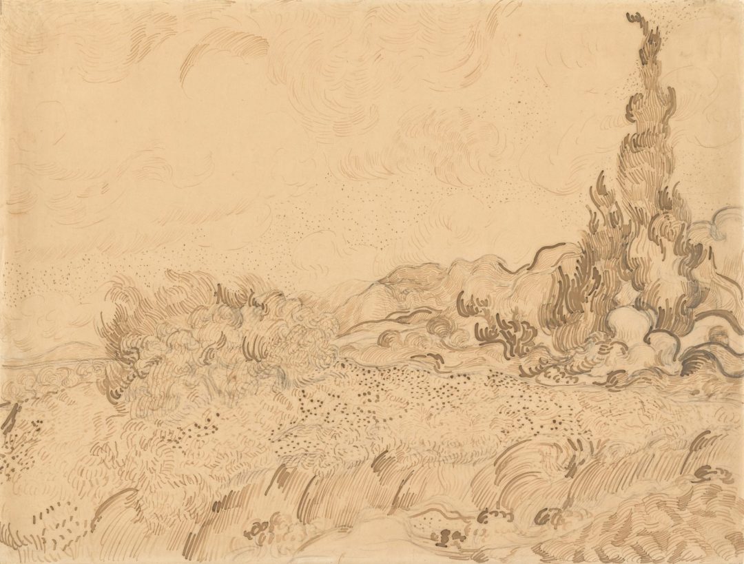 Trigal y cipreses (dibujo, Saint-Rémy, 1889), de Vincent van Gogh